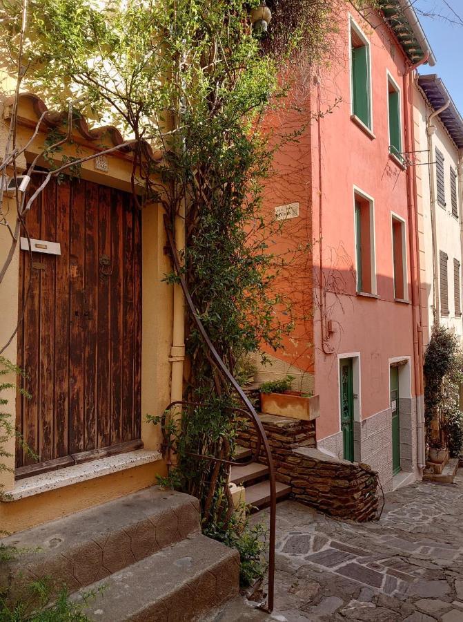 4Rb4 Appartement Type T2 Bord De Mer Acces Plage Direct Collioure Bagian luar foto