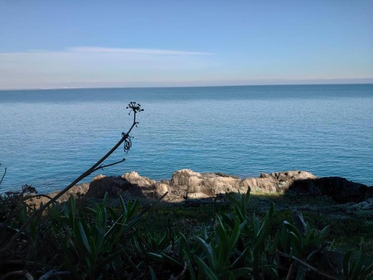 4Rb4 Appartement Type T2 Bord De Mer Acces Plage Direct Collioure Bagian luar foto
